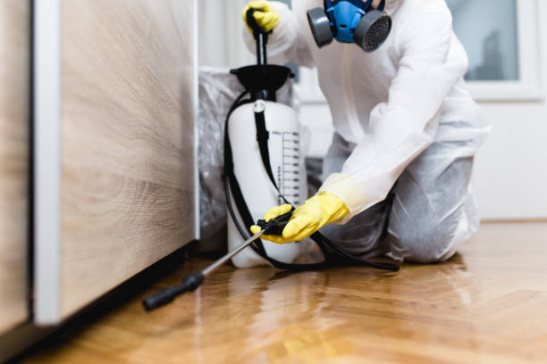  Cedar Bluff, AL Pest Control Pros