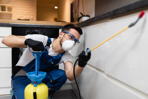 Best Rat Extermination Near Me  in Cedar Bluff, AL