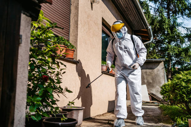 Best Affordable Pest Control Services  in Cedar Bluff, AL