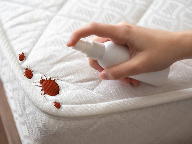 Best Mosquito Control Services  in Cedar Bluff, AL