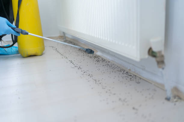 Cedar Bluff, AL Pest Control Company